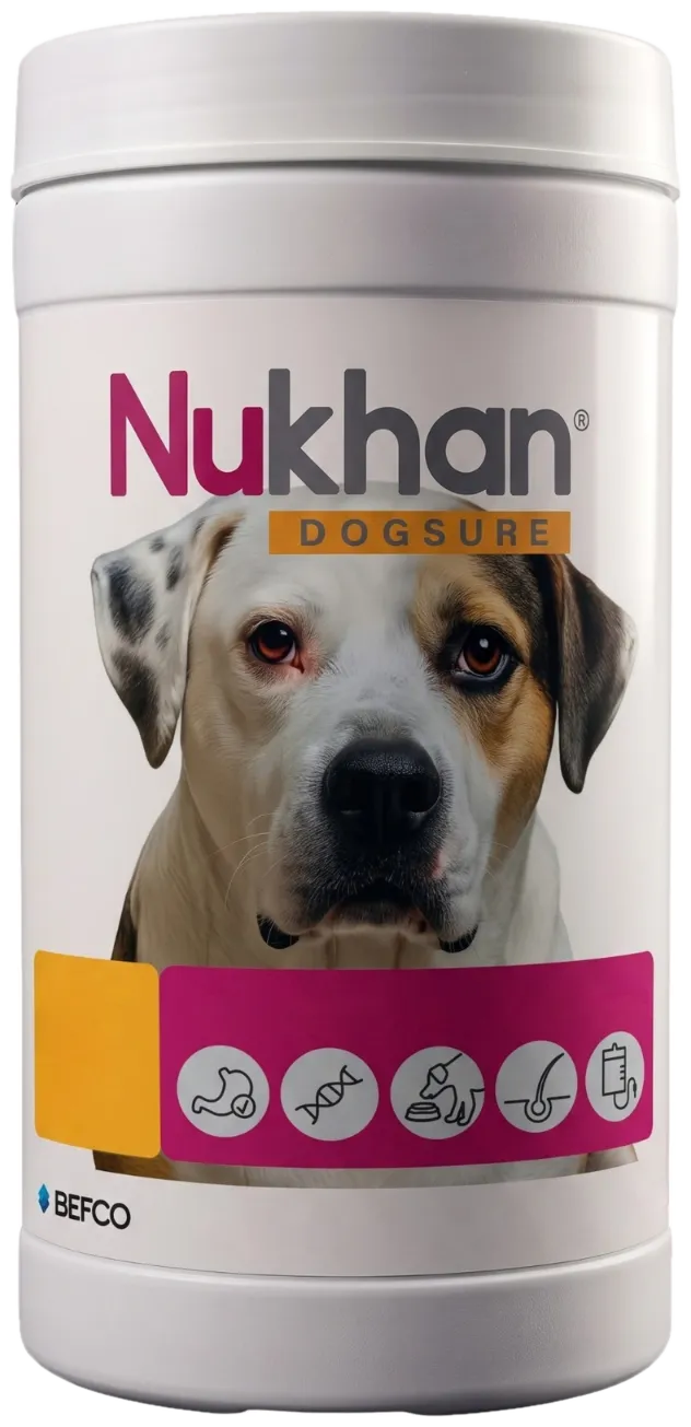 Pote de Nukhan Dogsure